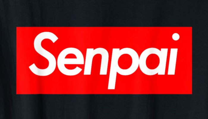 Supreme Senpai Hoodie & Shirt